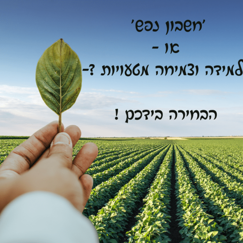 מה תבחרו _ סופי