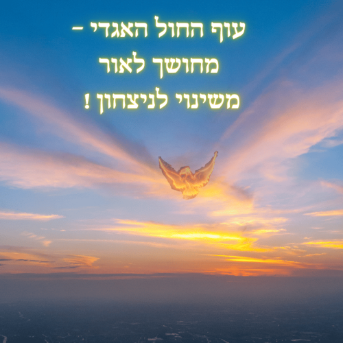 עוף החול